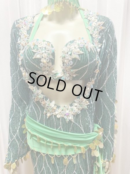 画像2: バラディ、サイーディ兼用スパンコールドレス(5点セット） (2)