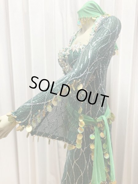 画像3: バラディ、サイーディ兼用スパンコールドレス(5点セット） (3)